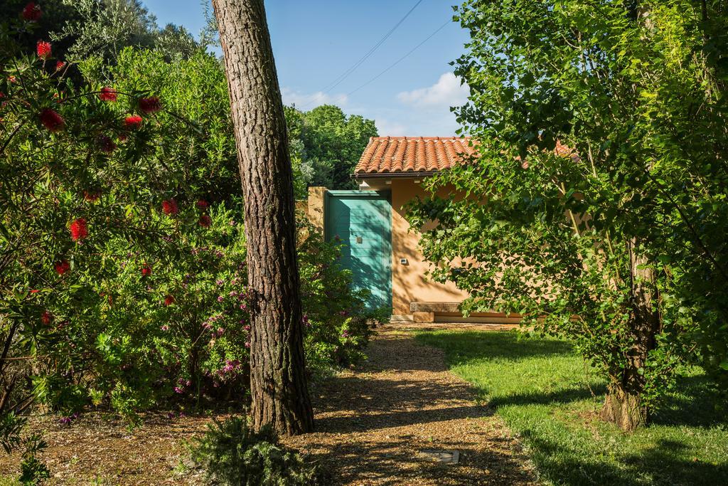 Agriturismo Valle Del Marta Таркуїнія Екстер'єр фото